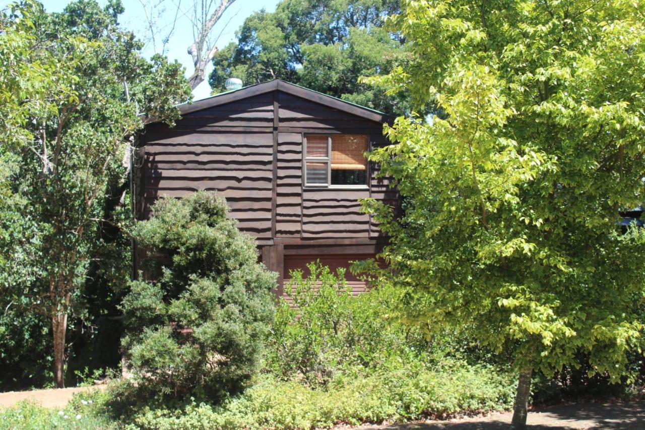 Treehouse Cottage The Crags Eksteriør bilde